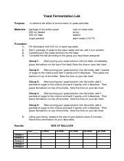 Alejandro Goldman Balloon Lab Pdf Yeast Fermentation Lab Purpose