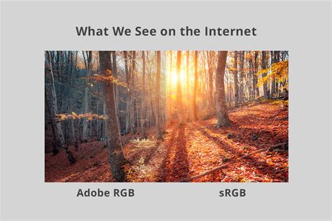 Srgb Vs Adobe Rgb Which Color Mode Is Better In