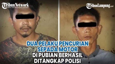 Video Dua Pelaku Curanmor Asal Pubian Ditangkap Polisi Tribunlampung