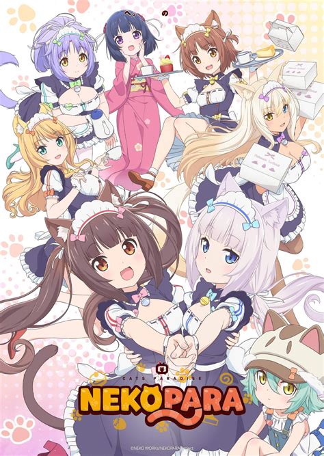 Nekopara Anime Nekopara Wiki Fandom