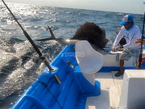 Pesca Deportiva En Panga De 28 Pies En Mazatlán 4h Desde 5000