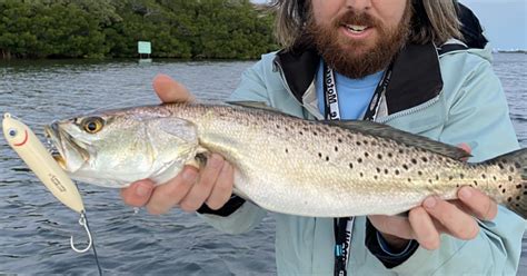 How To Catch Big Redfish Trout And Snook On Topwater In The Summer