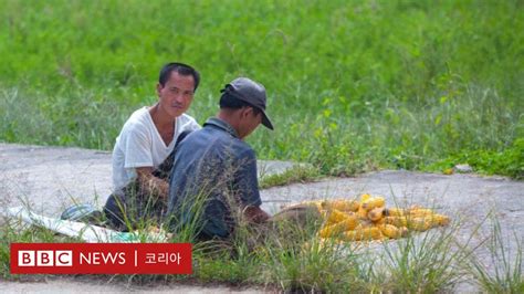 북한 만성적 식량 부족 올해도 2~3개월치 부족 Bbc News 코리아