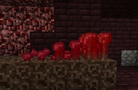 Fungo Do Nether Wiki Minecraft Brasil Amino