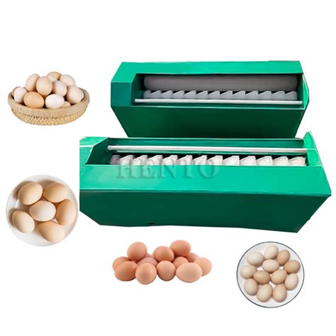 Automatic Egg Washing Machine Egg Washing Equipment China Washing