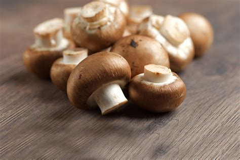 Mushroom Based Packaging Supplies Fad Or The Future Of Shipping