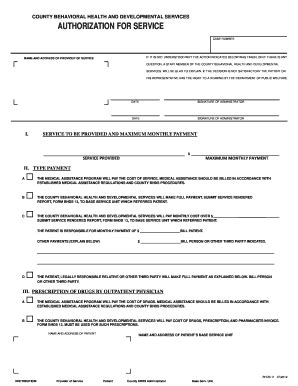 Fillable Online Working Copy Mhmr From Dpw Forms Websiteredacteddocx