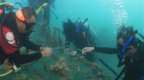 Tingkatkan Kesadaran Pentingnya Jaga Kelestarian Laut Dan Ekosistemnya