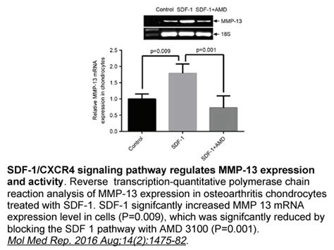 Apexbio Discoveryprobe Gpcr Compound Library