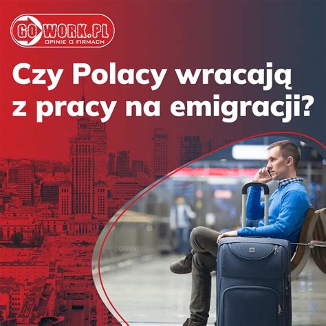 Czy Polacy Wracaj Z Emigracji Poradnik Gowork Pl