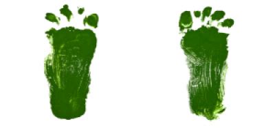 La Maison Des P Tits Loups J Adopte Un Projet Votre Plateforme De Crowdfunding En Nouvelle