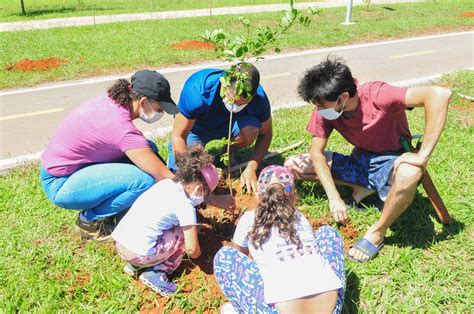 Corredor ecológico vai ajudar a preservar abelhas nativas no DF