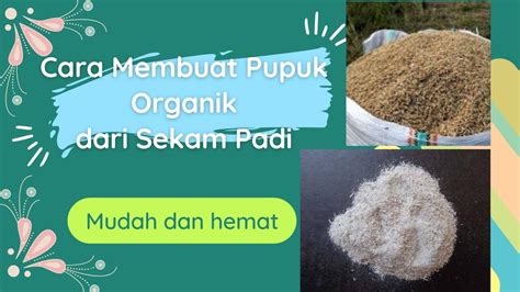 Cara Membuat Pupuk Organik Dari Sekam Padi Mudah Dan Hemat Abu