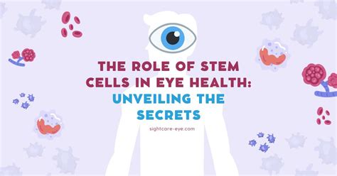 The Role Of Stem Cells In Eye Health Unveiling The Secrets Sightcare