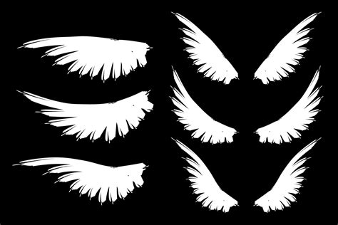 Set of bird wings. White and black wings. (355843) | Decorations ...