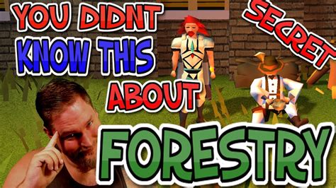 Secret About Forestry You Didnt Know Old School Runescape Forestry