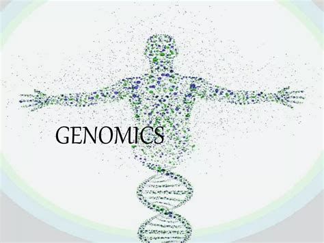 Genomics And Proteomics By Shreeman Ppt