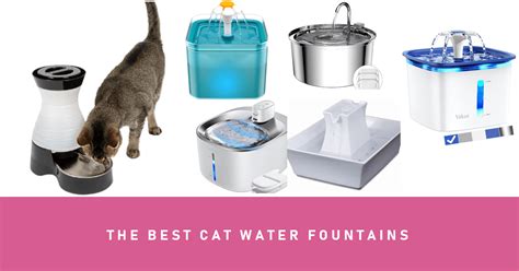 The 3 Best Ceramic Cat Water Fountains Reviewed Elegant Sips