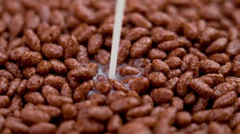 Chocolate Cereal Puffed Rice Grains On A Black Background Stock Footage