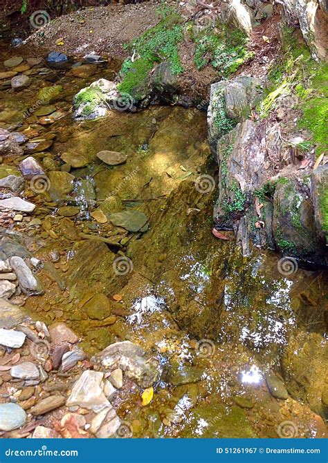 清楚的水 库存图片 图片 包括有 结算 生苔 健康 小卵石 水路 岩石 起波纹 水晶 51261967