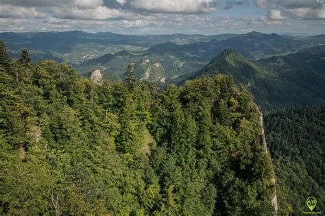 Sokolica i Sokola Perć w Pieninach szlak z Krościenka