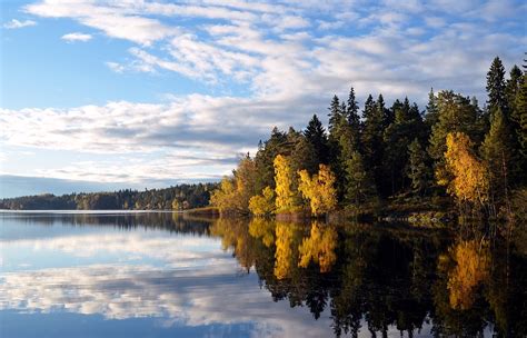 Partir à la découverte des parcs nationaux de la Laponie suédoise