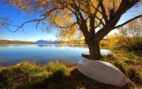 trees, Lake, Boat Wallpapers HD / Desktop and Mobile Backgrounds