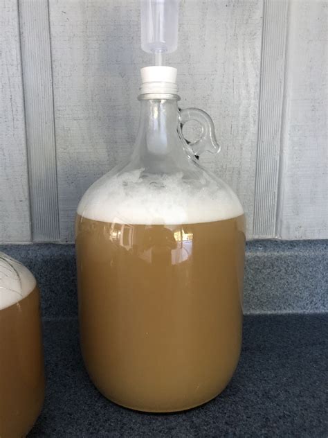 Neipa With Citra Galaxy And Voss Kveik Homebrewing