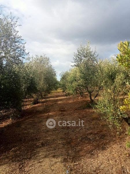 Terreni Agricoli In Vendita A San Miniato In Zona Centro Storico Casa It