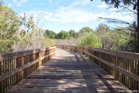 Boardwalk On Lehigh Trail In Palm Coast Florida Bicycling Flickr