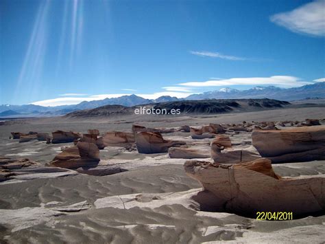 Área Natural Protegida Campo de Piedra Pómez CoAmbiente Consultora