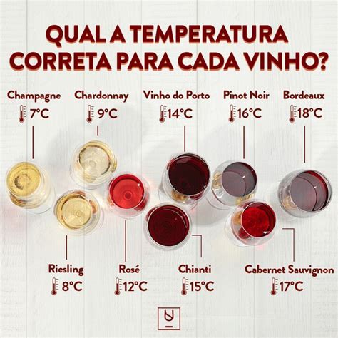 Saiba A Temperatura Correta Para Cada Vinho Em 2024 Vinhos E Queijos