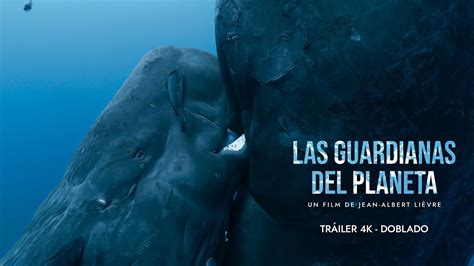 LAS GUARDIANAS DEL PLANETA Tráiler versión doblada al castellano