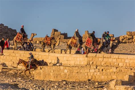 CAIRO EGYPT JANUARY 28 2019 People Riding Camels At Giza Pyramids