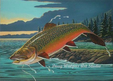 Brook Trout Print By Doug Walpus Fly Fishing 11 X 14 Acrylic