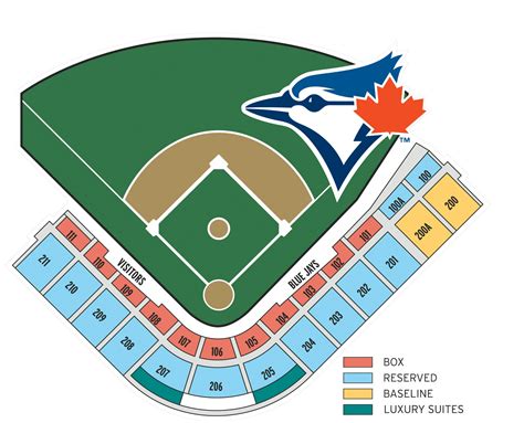 Dunedin Stadium Seating Chart - Stadium Seating Chart