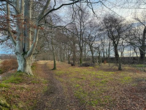 Woodland Walk © Ralph Greig Cc By Sa20 Geograph Britain And Ireland