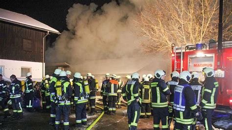 Zwölf Tiere verenden bei Brand eines Stallgebäudes in Gstadt