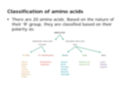 SOLUTION: Introduction to proteins and amino acids - Studypool