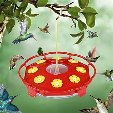 I Tested The Best Bee Proof Hummingbird Feeder And Heres Why Its A