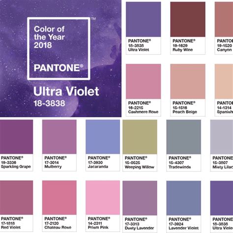 Toro Valutare Spruzzo Colore Viola Pantone Rimuovere Universale Ambasciata