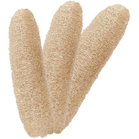 Loofah Naturel 3 Pièces Eponge Loofah Scrubber Biodégradable éponges à