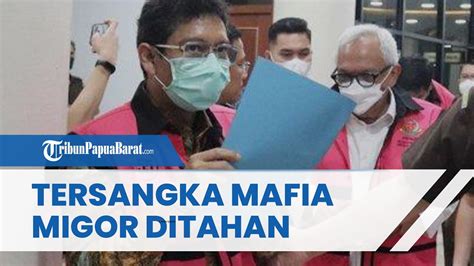 Dalang Di Balik Mafia Minyak Goreng Terungkap Salah Satunya Dirjen