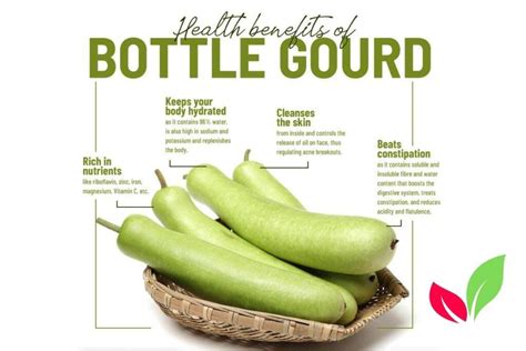 7 Amazing Health Benefits Of Bottle Gourd That Will Blow Your Mind