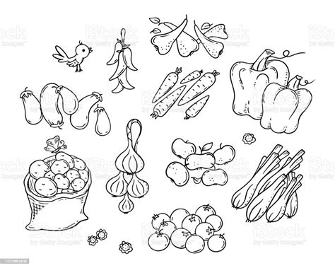 Set Buah Kartun Dan Sayuran Berwarnawarni Garis Besar Vektor Ilustrasi