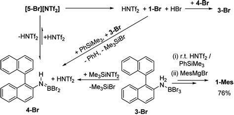 Enhanced N Directed Electrophilic CH Borylation Generates BN 5 And