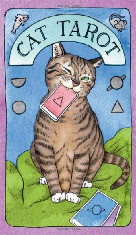 Cat Tarot 78 Cards Guidebook 誠品線上