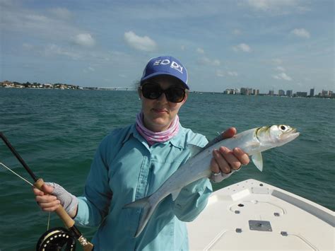 Fly Fishing for Ladyfish – an Underrated Species! – Sarasota Fly