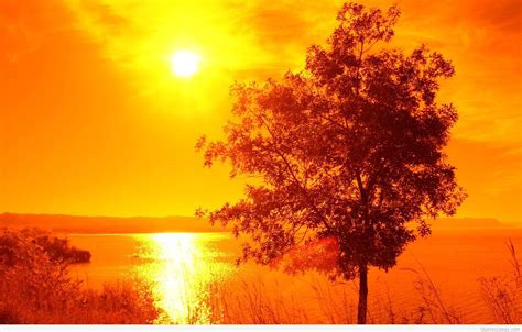 Hot Summer Day Wallpapers Top Free Hot Summer Day Backgrounds Wallpaperaccess