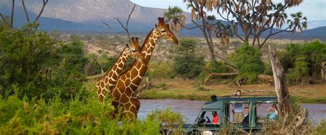 Filming In Shaba National Reserve Film Fixer In Northern Kenya